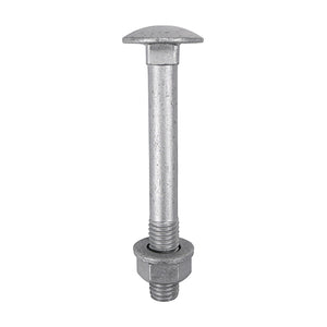 Timco Carriage Bolts, Nuts & Washers - Exterior - Silver
