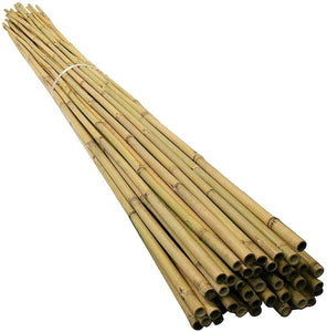 Premium Bamboo Garden Canes - 10 pack
