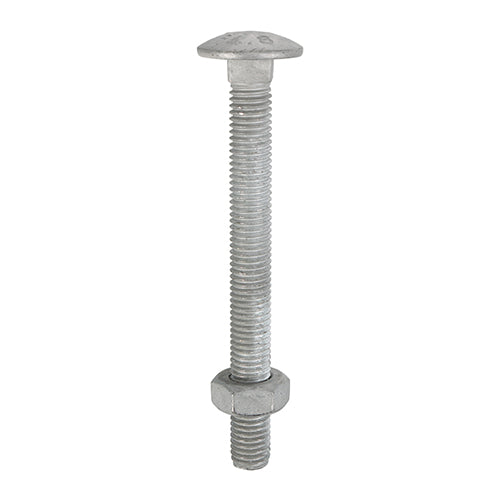 Timco Carriage Bolts & Hex Nuts - Hot Dipped Galvanised