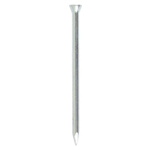 Load image into Gallery viewer, Masonry Nails - Mickey - Fixed Washer - Zinc